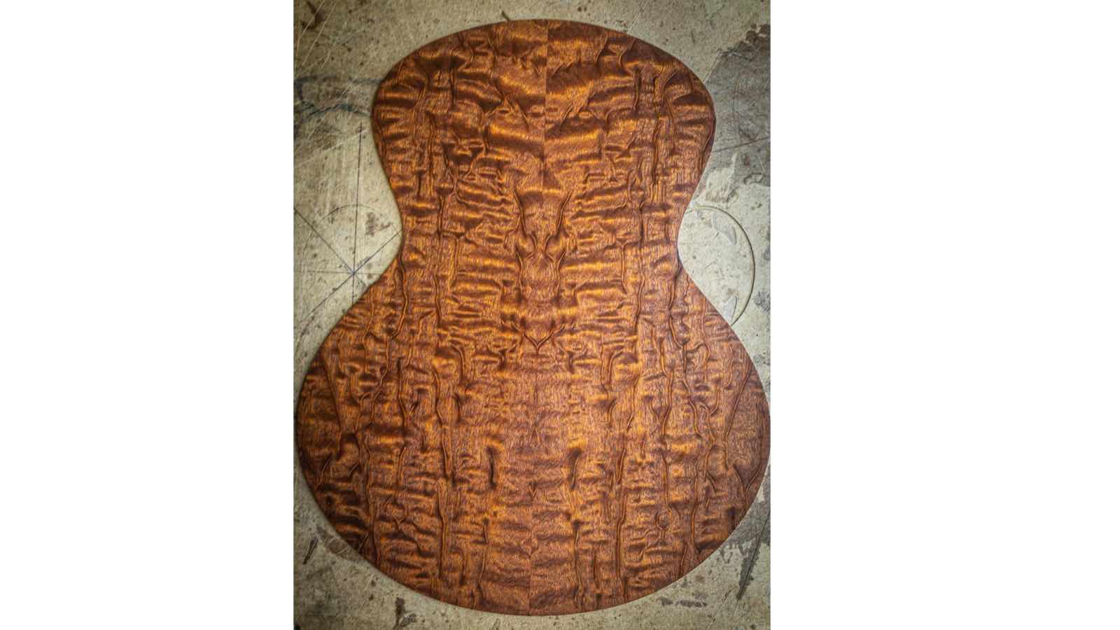 Casimi C2S in The Tree