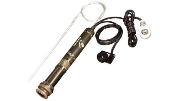 LR Baggs Element - Allan Palmer, Cape Town