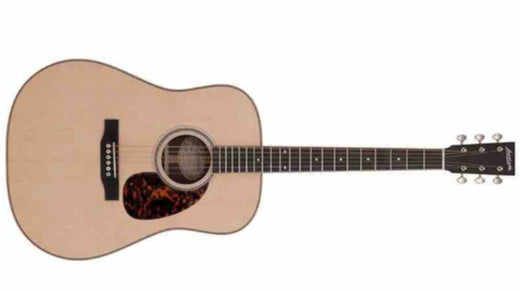 Larrivee D-40R