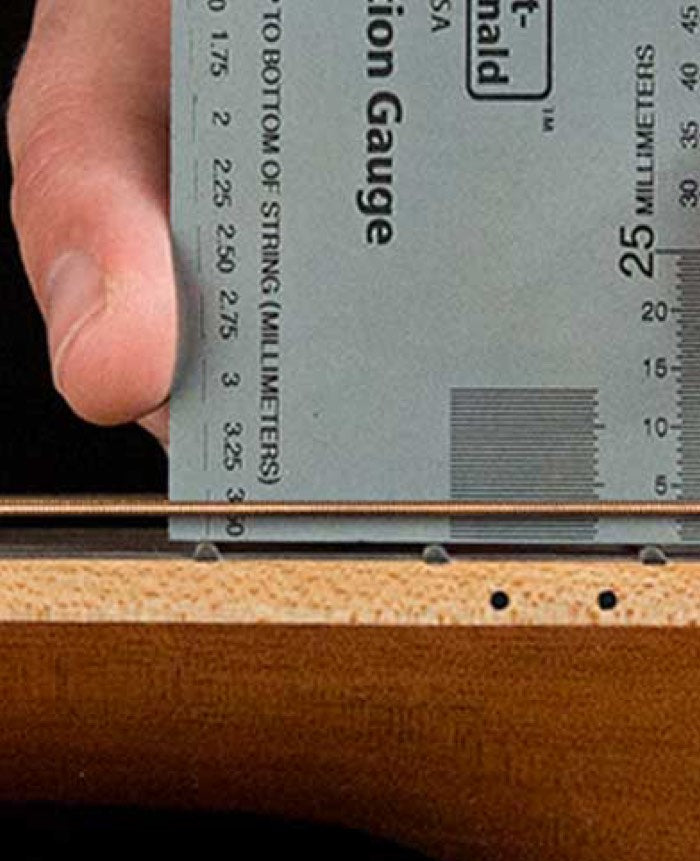 Acoustic Guitar Add-On