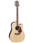 TAKAMINE GD93CE Natural