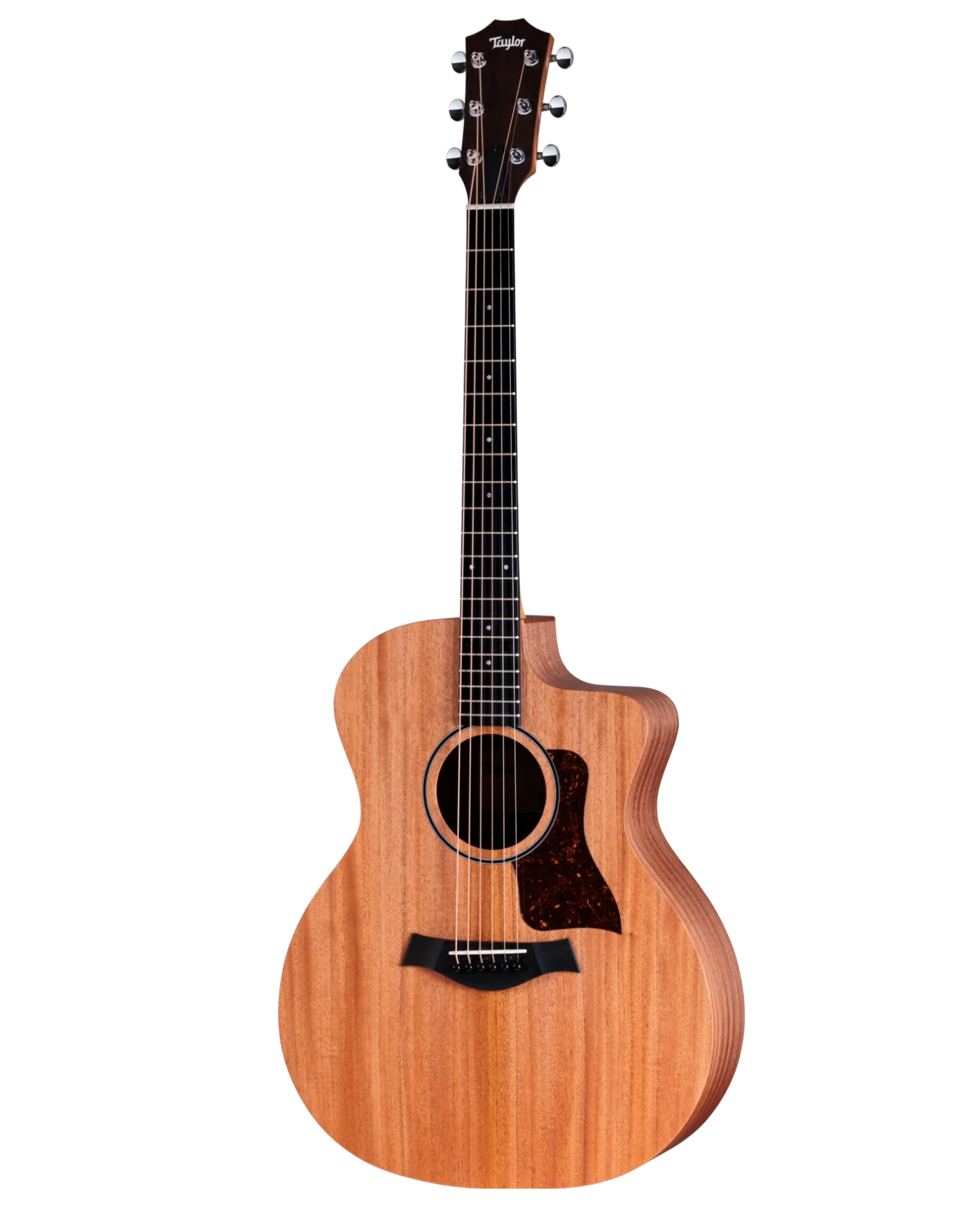 Taylor 24ce Mahogany Top Sapele Acoustic-Electric Guitar