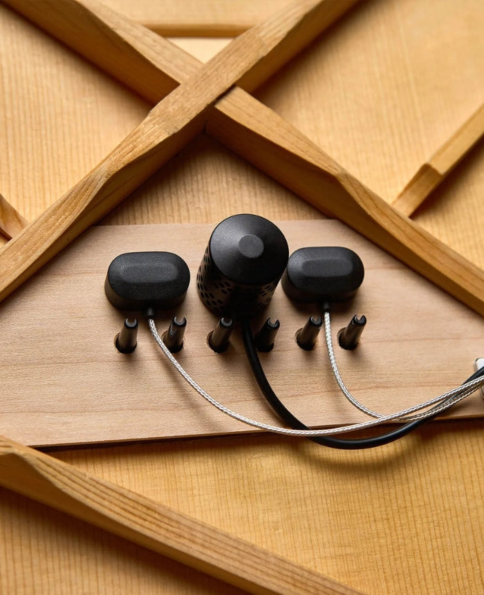 LR Baggs HiFi Duet Acoustic Pickup System