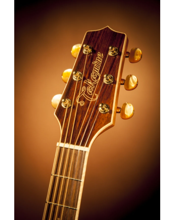 TAKAMINE GN71CE Natural