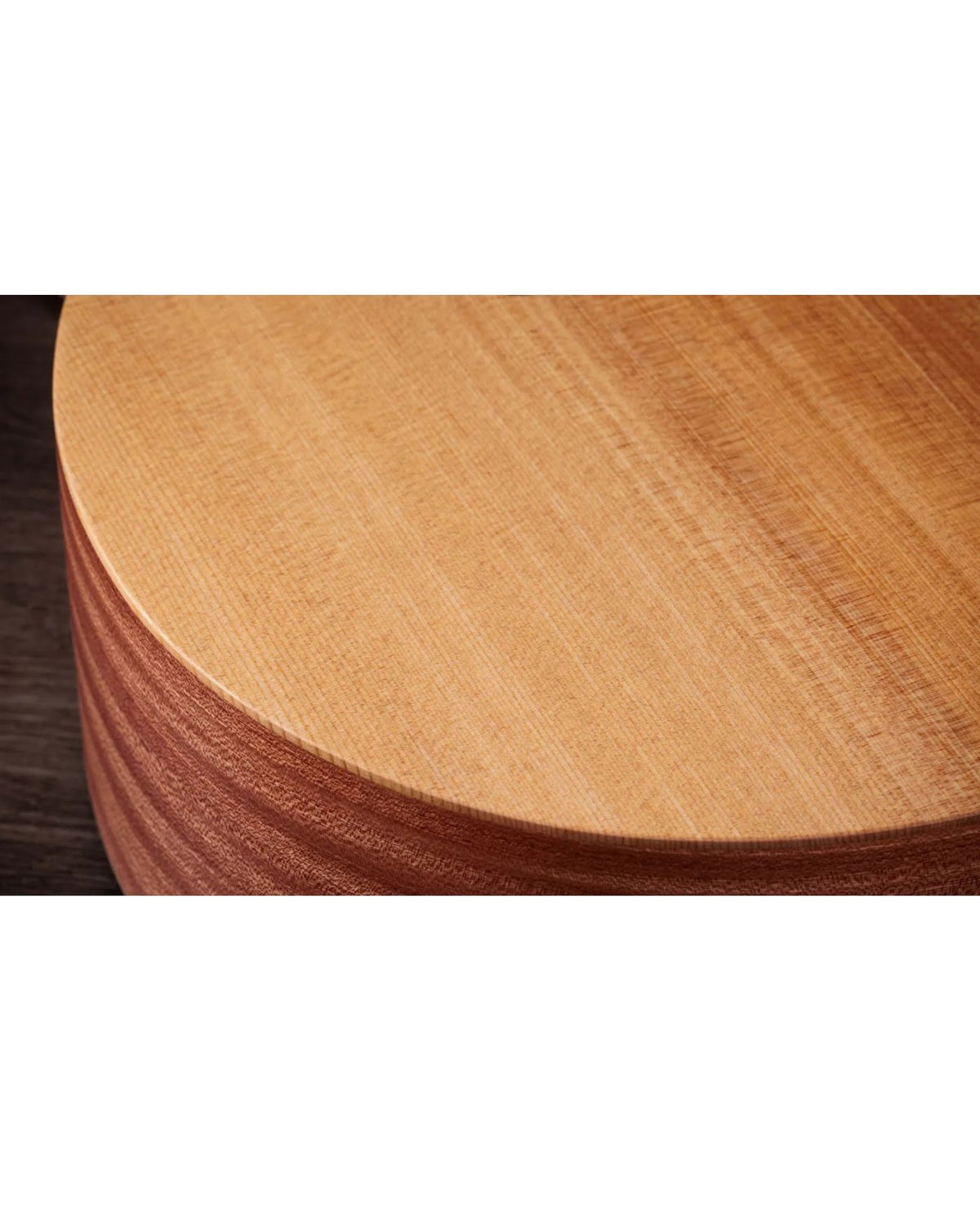 TAYLOR 14CE Acoustic Guitar Sapele/Spruce With Pickup