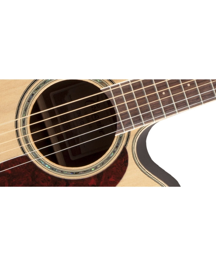 TAKAMINE GN71CE Natural