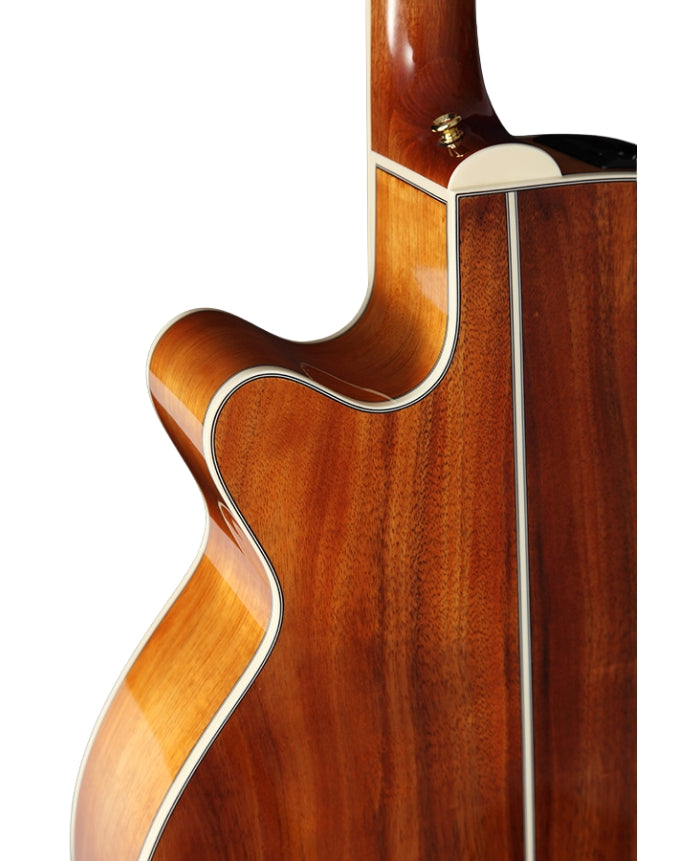 TAKAMINE GN77KCE Natural