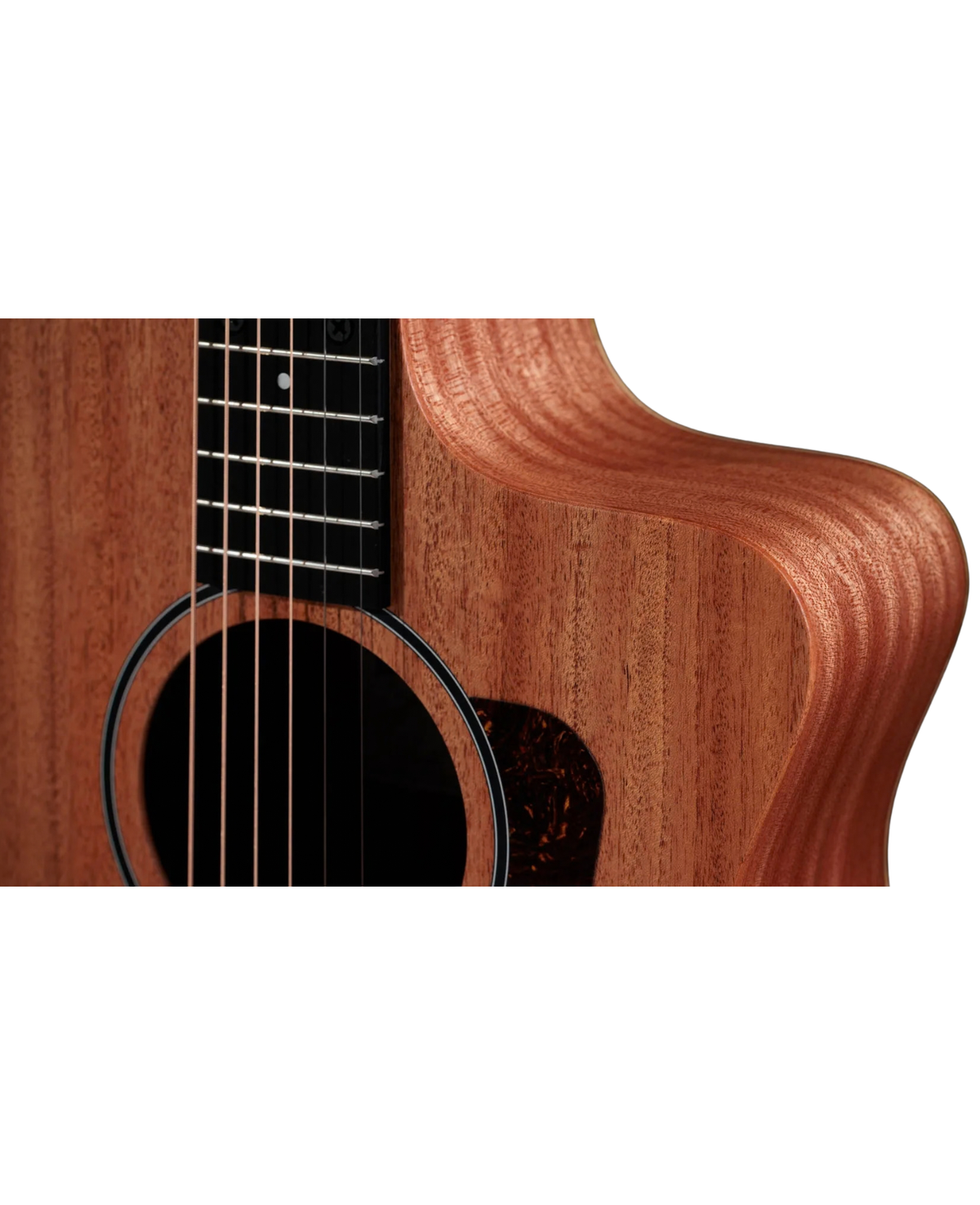 Taylor 24ce Mahogany Top Sapele Acoustic-Electric Guitar