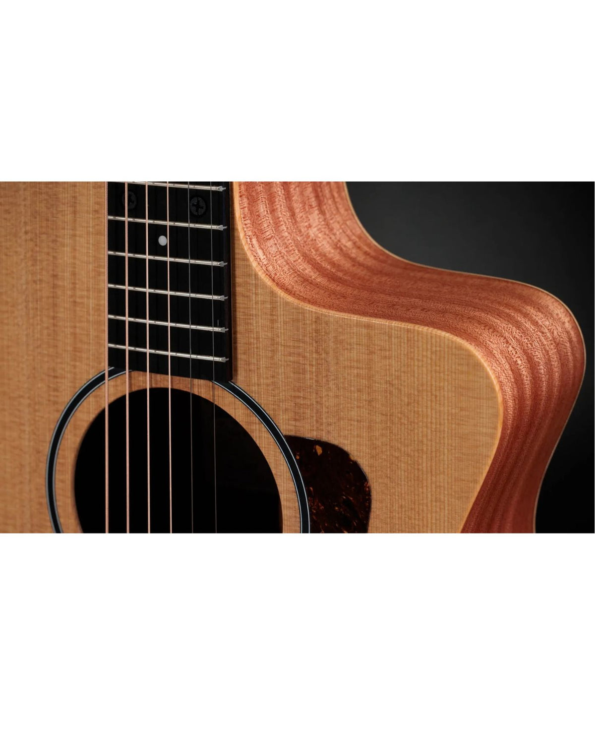 TAYLOR 14CE Acoustic Guitar Sapele/Spruce With Pickup