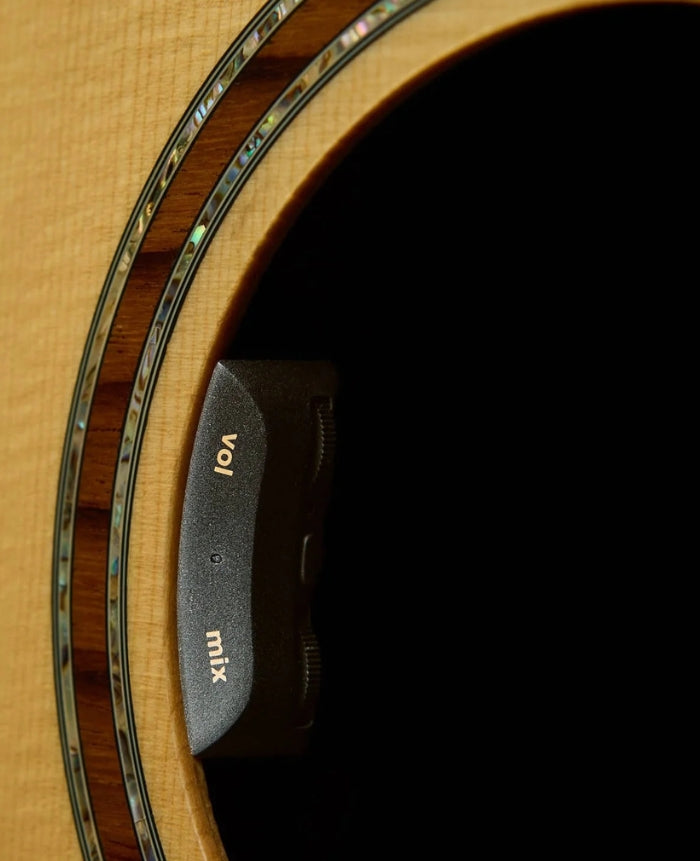 LR Baggs HiFi Duet Acoustic Pickup System