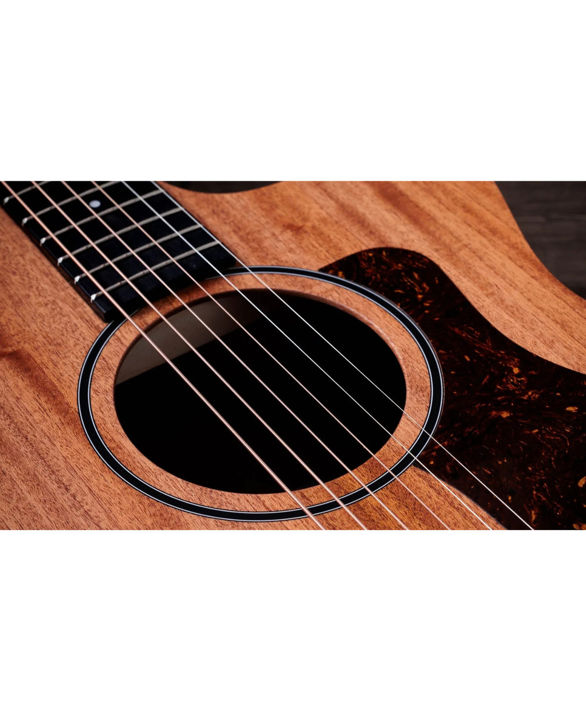 Taylor 24ce Mahogany Top Sapele Acoustic-Electric Guitar