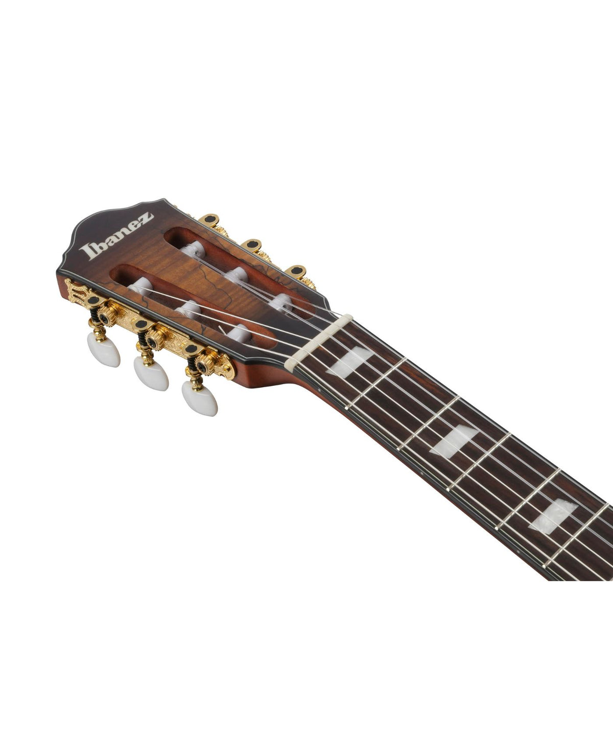 Ibanez FRH Series FRH20SMN Nylon Electro Acoustic Guitar - Tobacco Burst
