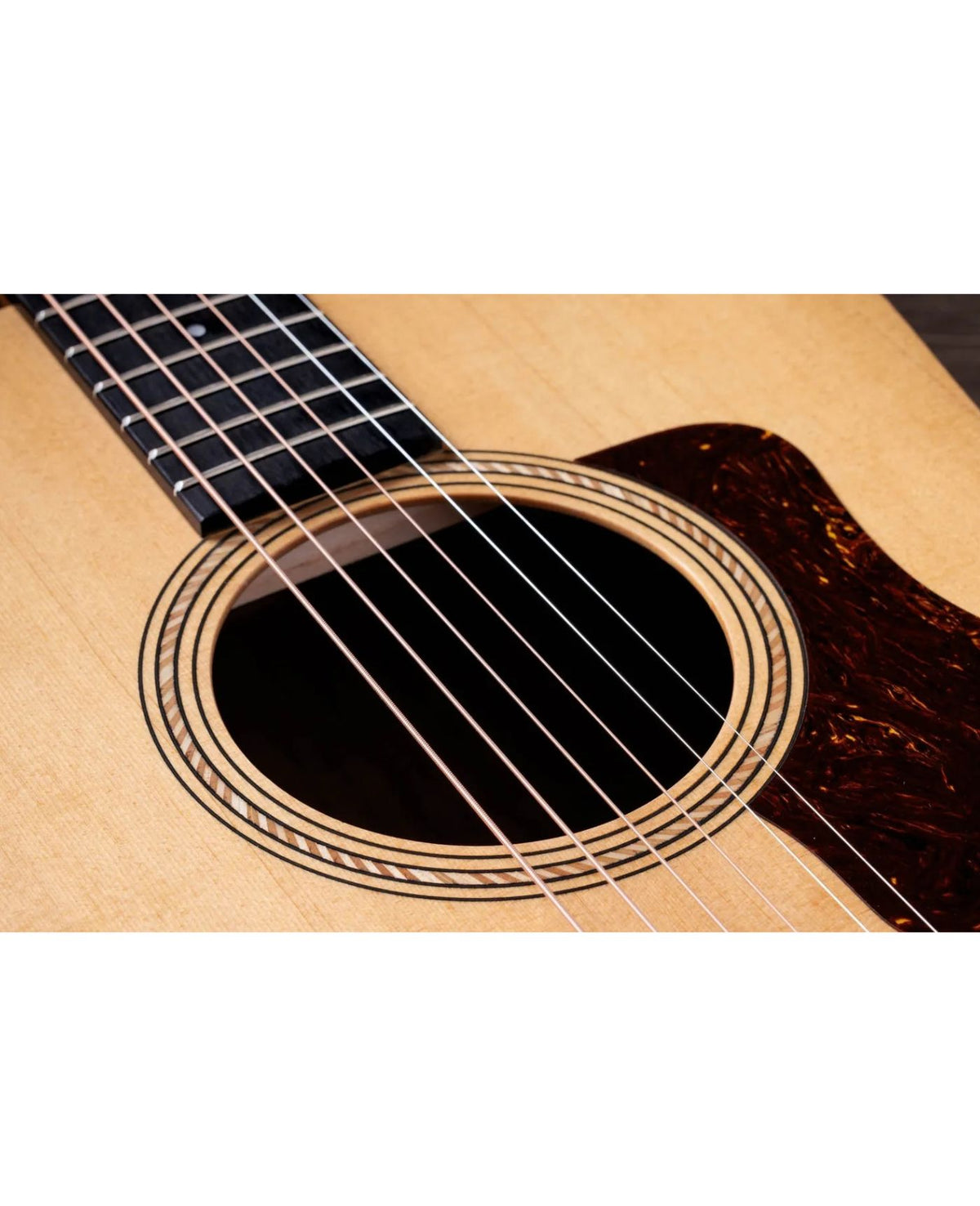 TAYLOR Academy 10E Sapele Dreadnaught