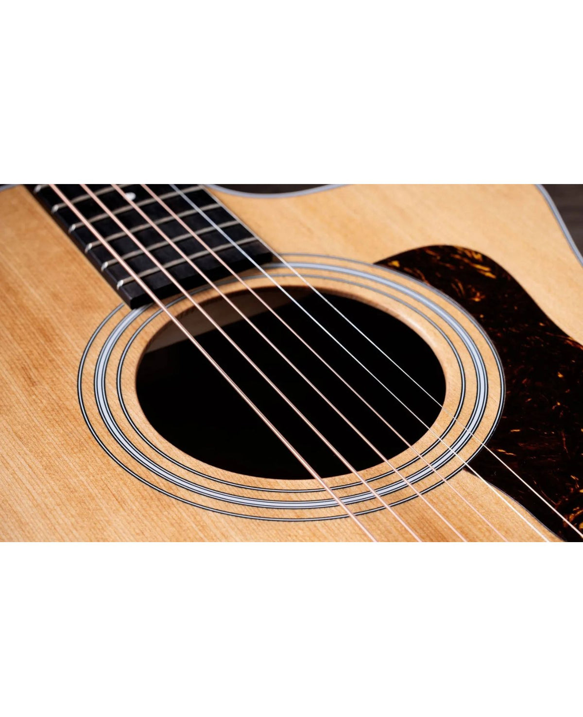 Taylor 214ce Grand Auditorium Acoustic-Electric Guitar