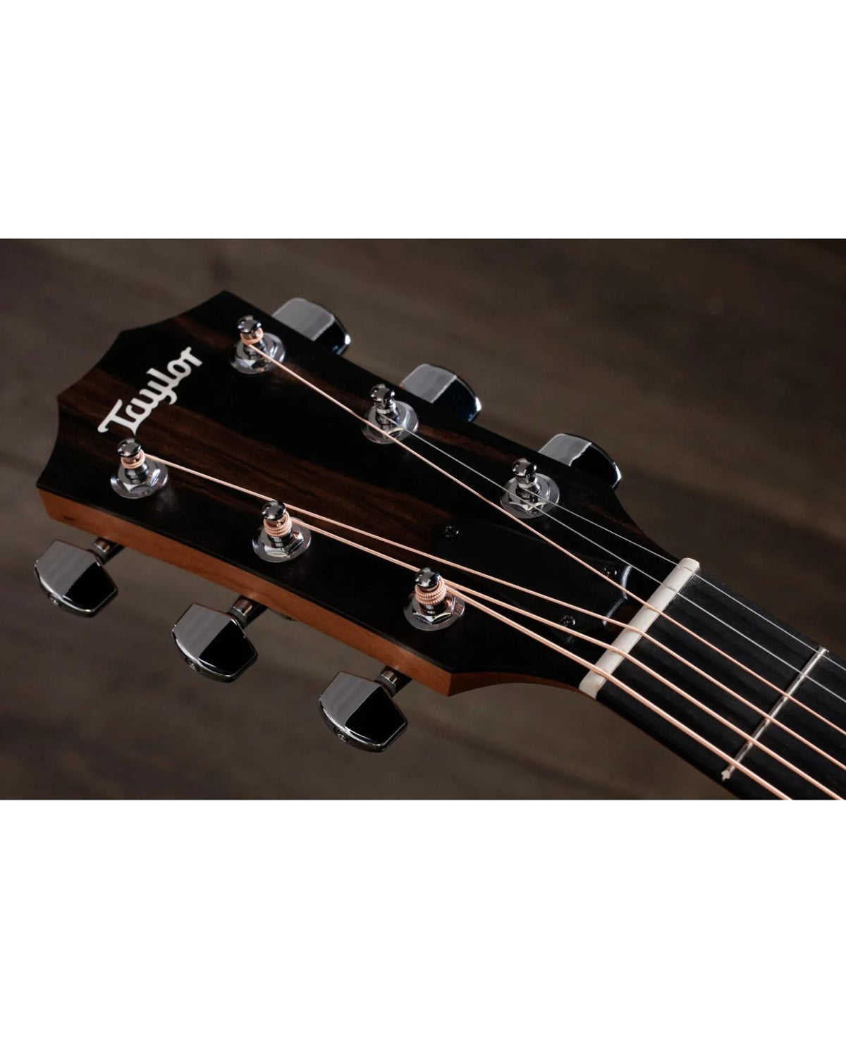 TAYLOR Acoustic Guitar Cutaway Sapele B/S W Es-T