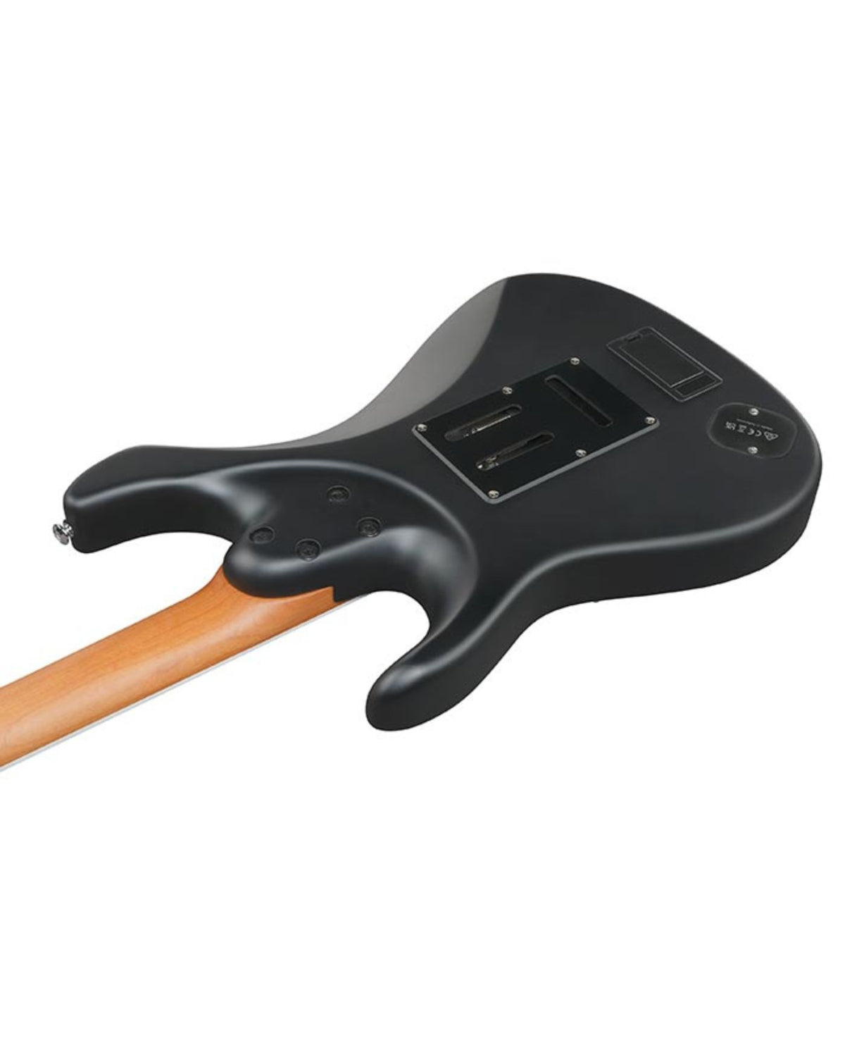 Ibanez BER10 Bernth Signature Electric Guitar - Matte Black