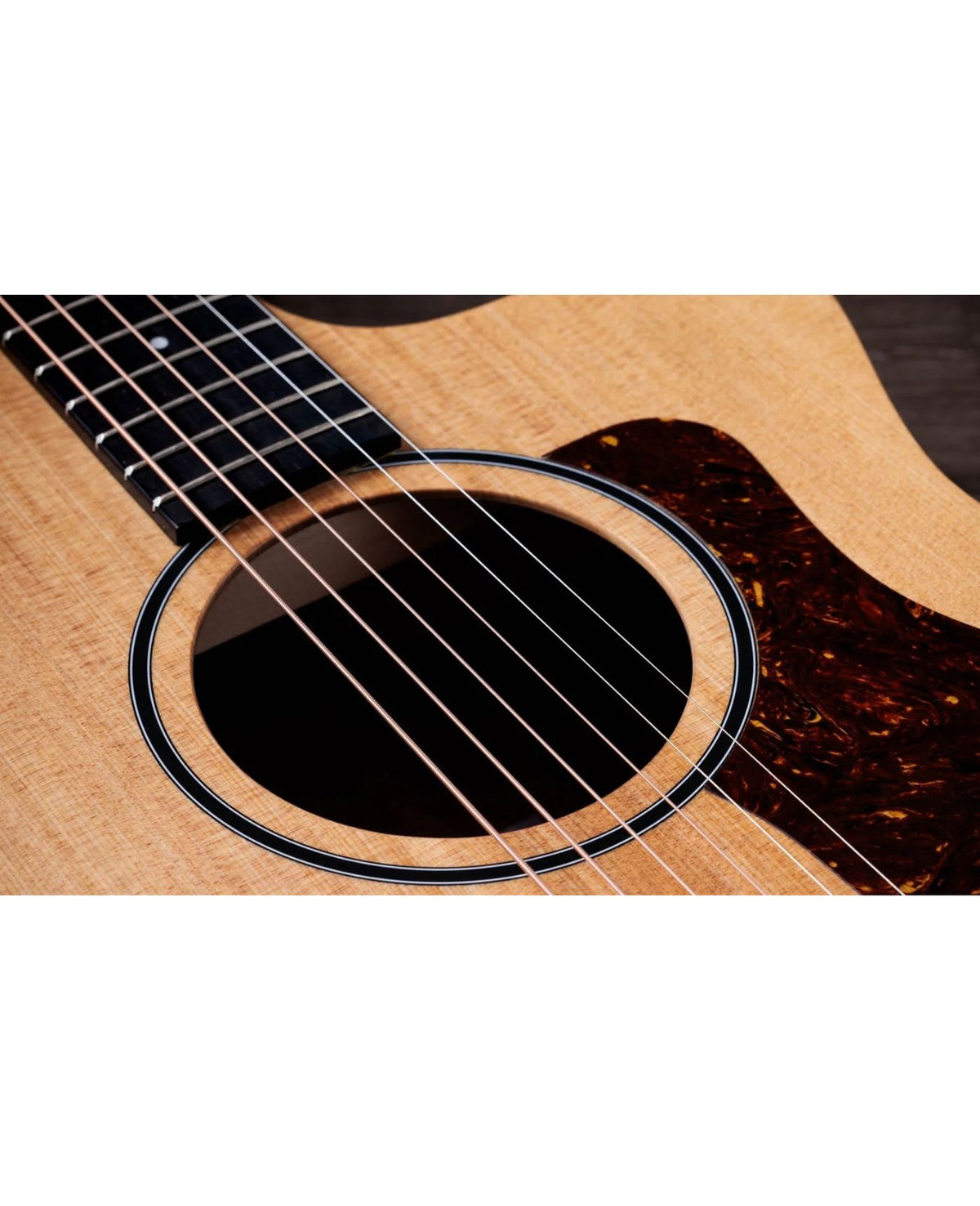 TAYLOR 14CE Acoustic Guitar Sapele/Spruce With Pickup