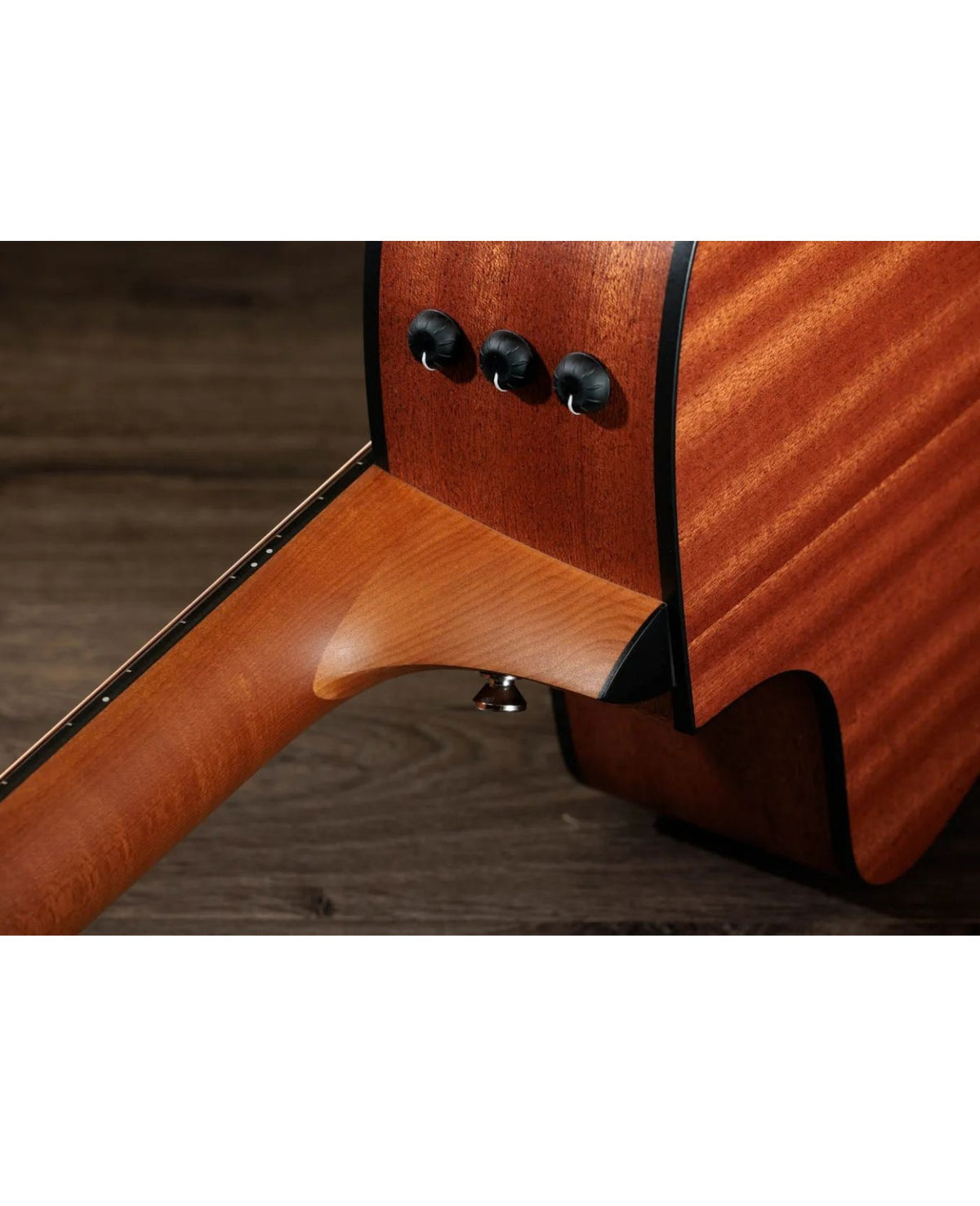 TAYLOR Acoustic Guitar Cutaway Sapele B/S W Es-T