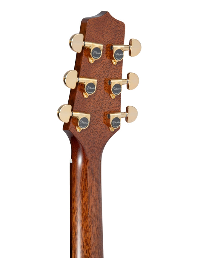 Takamine P5DC