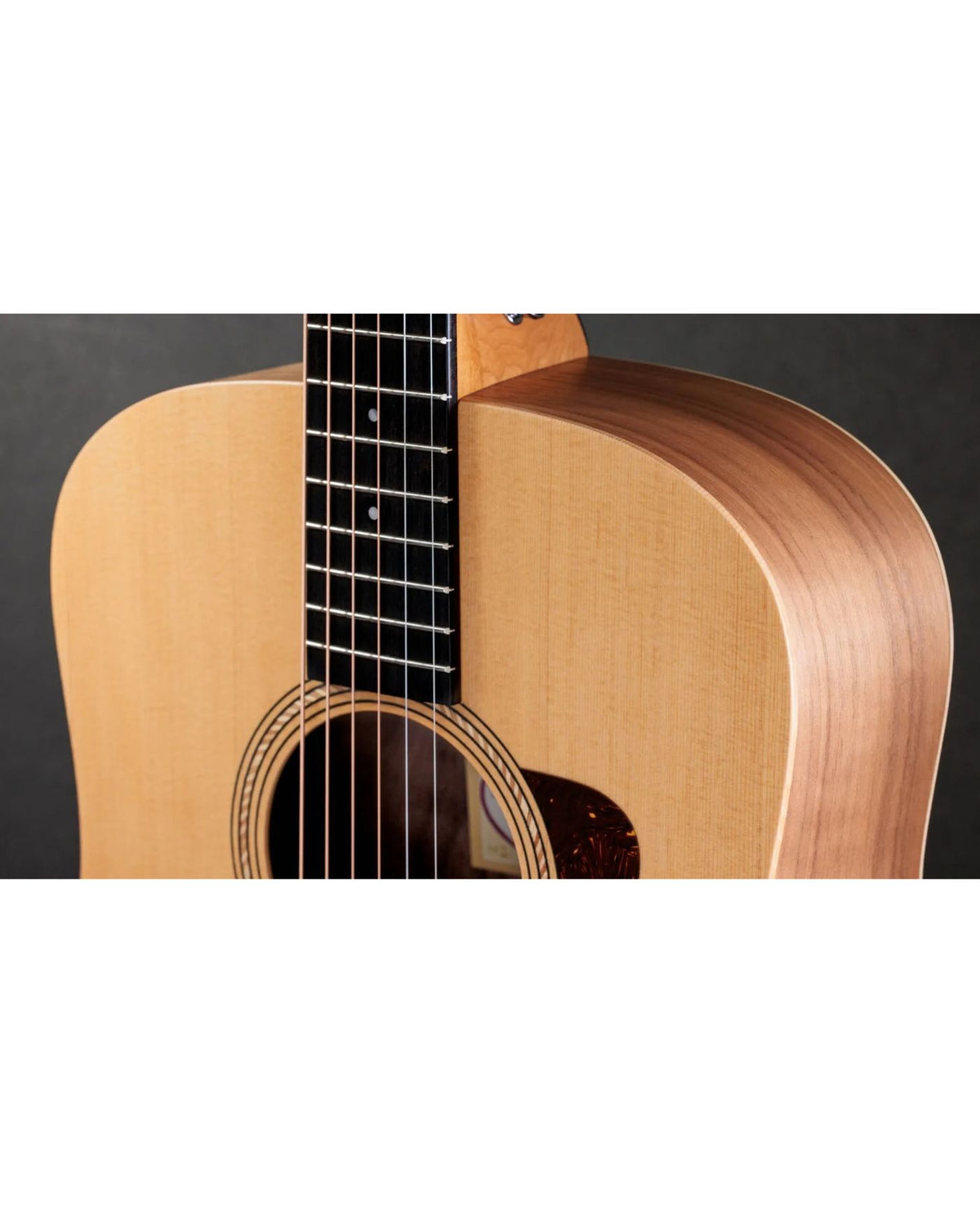 TAYLOR Academy 10E Sapele Dreadnaught