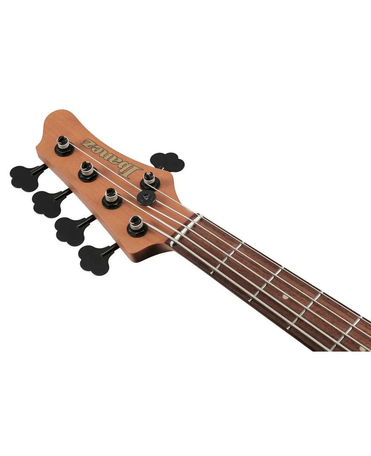 Ibanez MDM Mode Series MDM1005 5-String Electric Bass Guitar Midnight Arctic Ocean Matte