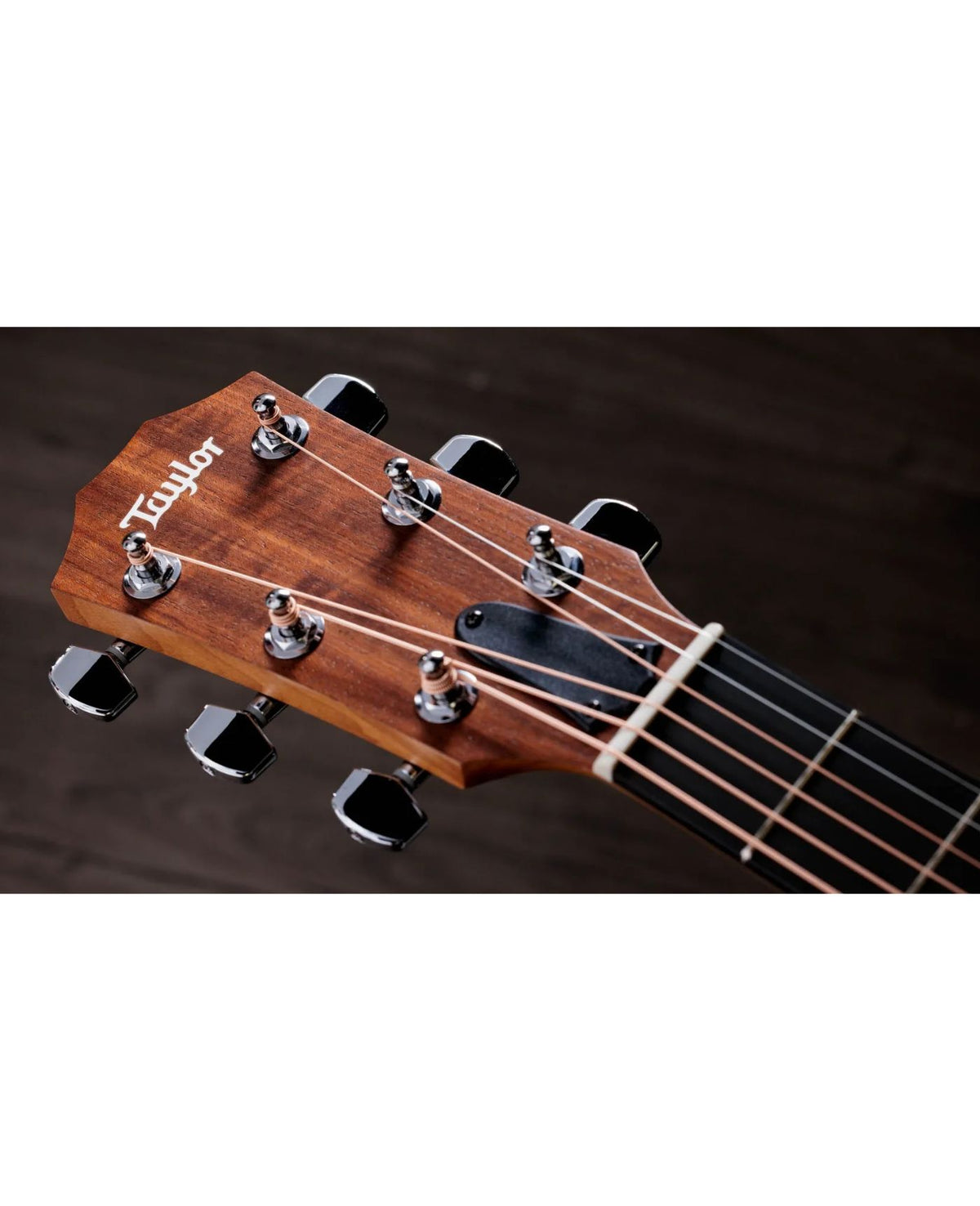TAYLOR Academy 10E Sapele Dreadnaught
