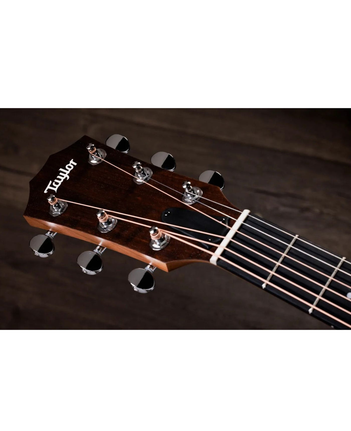 TAYLOR 14CE Acoustic Guitar Sapele/Spruce With Pickup