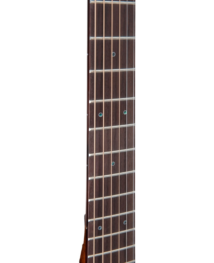 Takamine P5DC