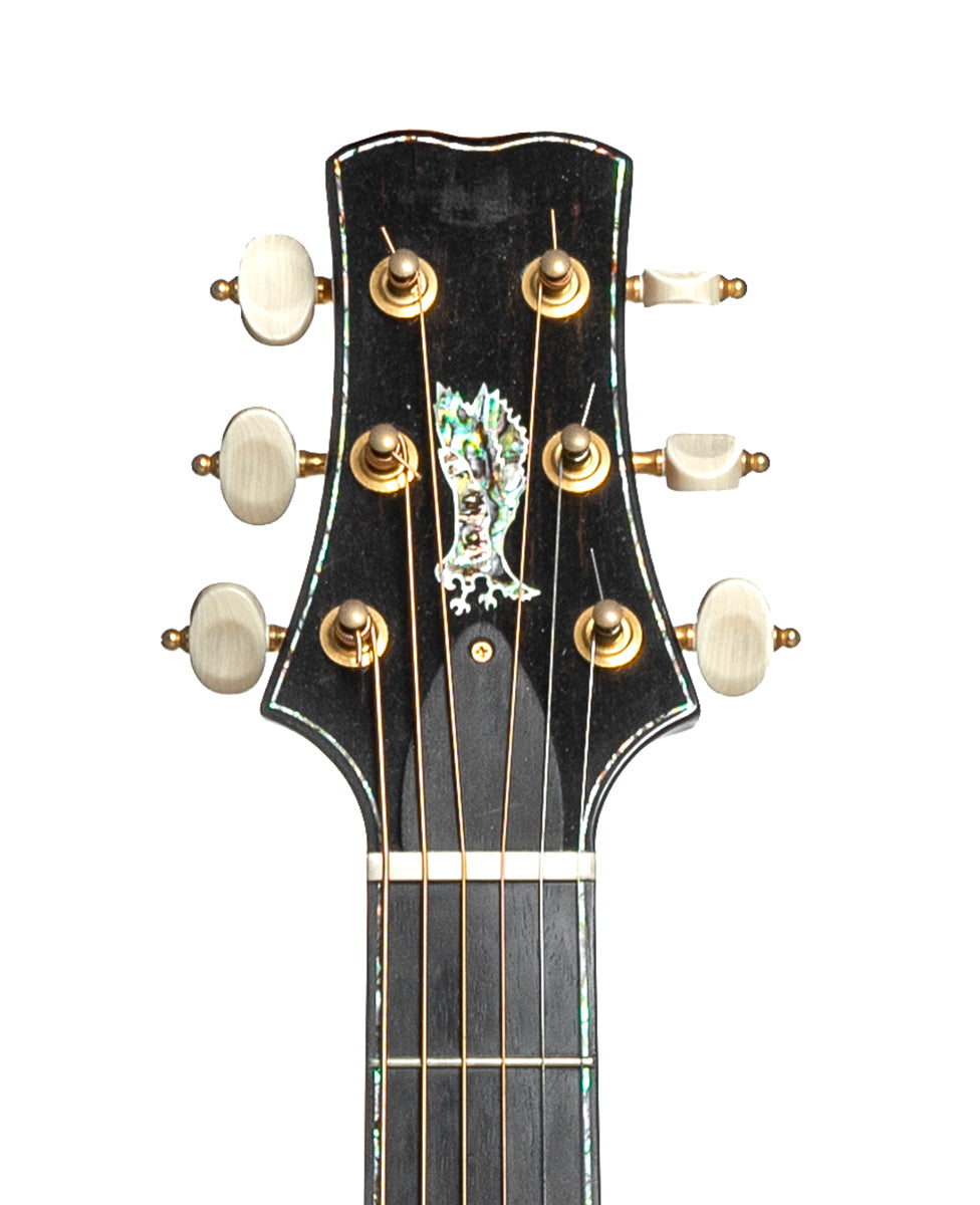 PRS Alex Lifeson Private Stock (Pre-Owned)