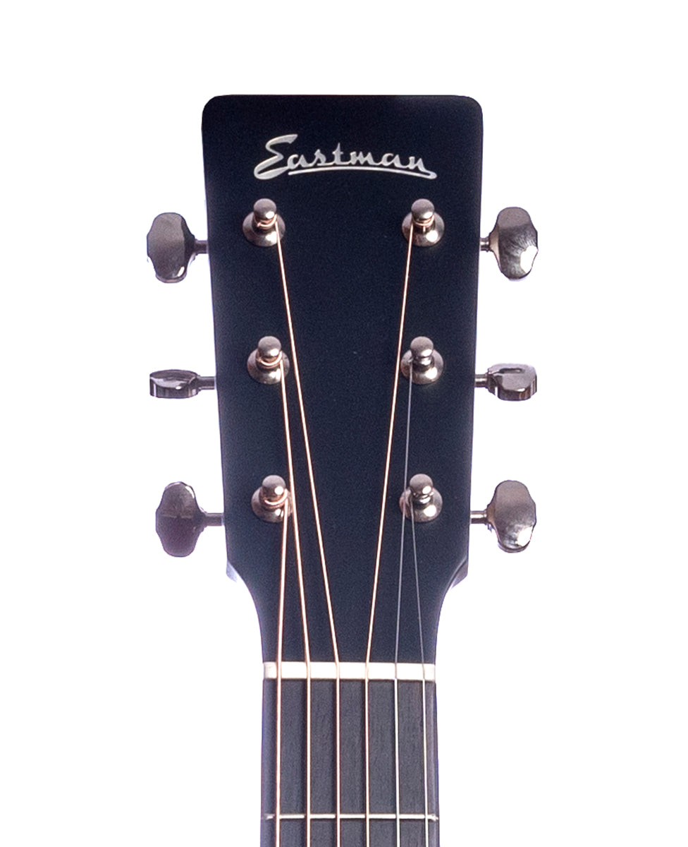 Eastman E1OM-Special