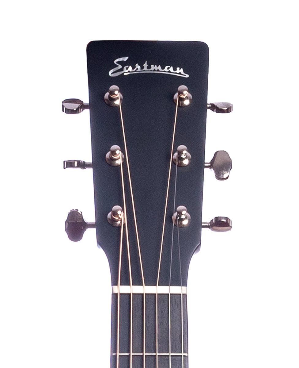 Eastman E1D-Special
