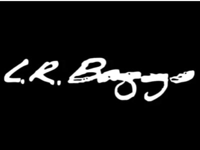 LR Baggs Acoustic Pickups
