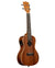 KALA Mahogany Concert Ukulele with Electronics