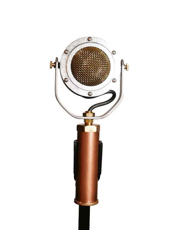 Ear Trumpet Labs Edwina Microphone