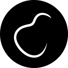 Logo van Guitar Gallery