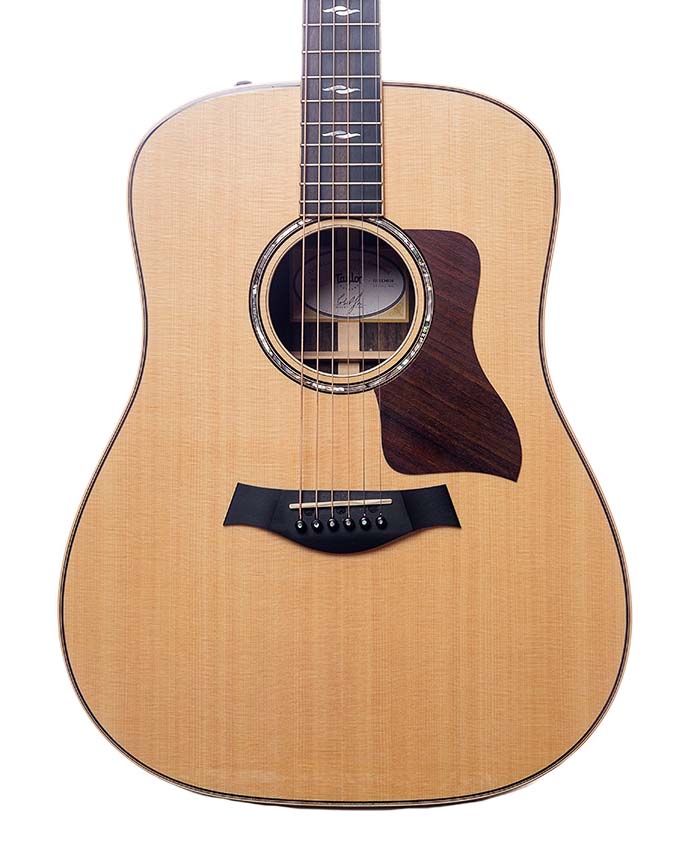 Taylor 810E Brazilian Rosewood