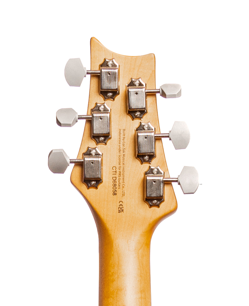 PRS SE Silver Sky - Ever Green