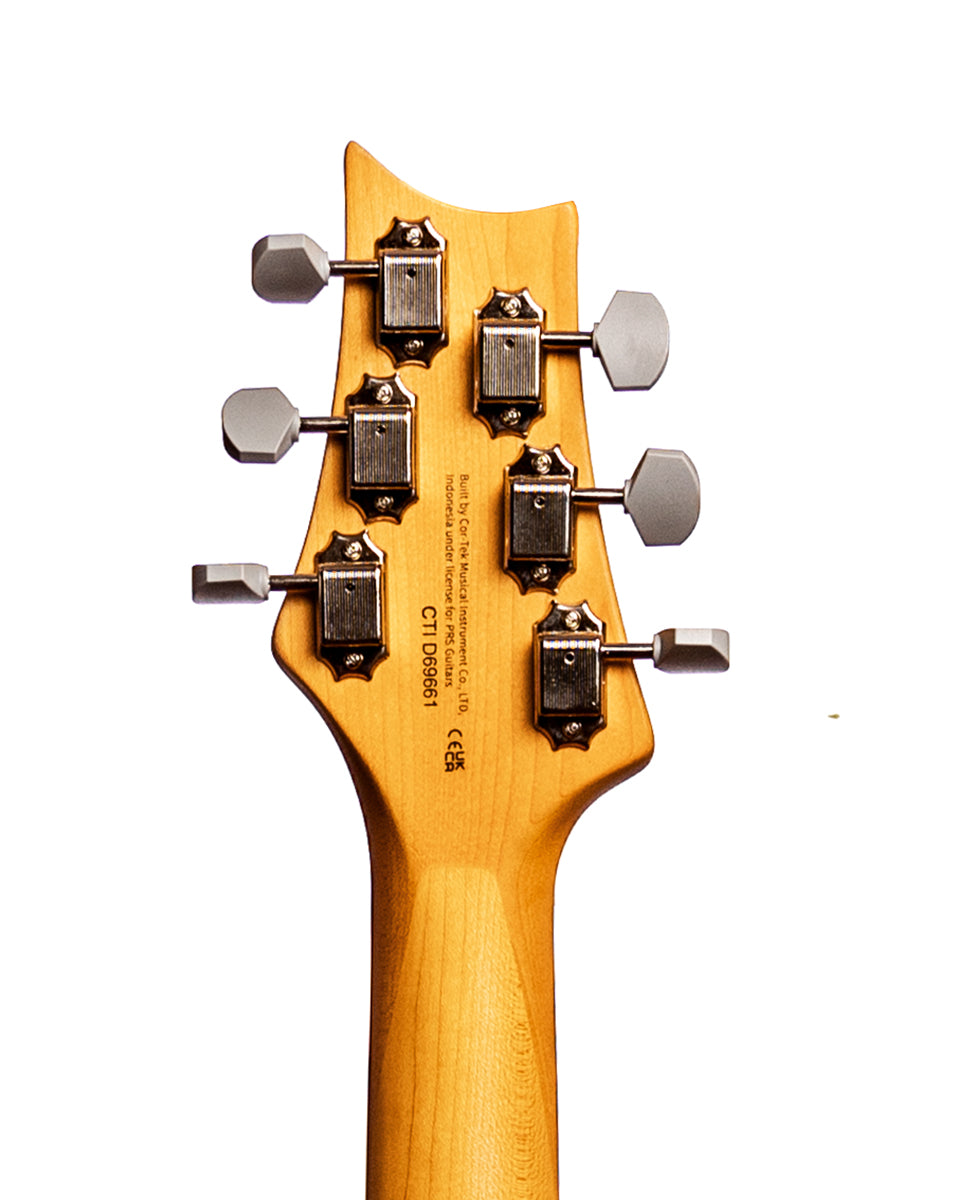 PRS SE Silver Sky - Dragon Fruit