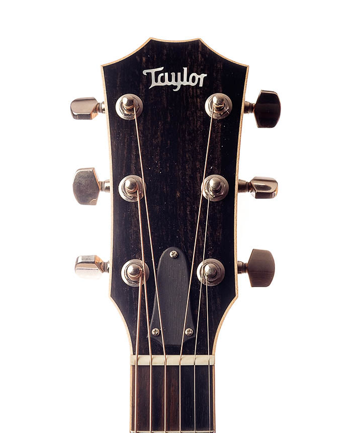 Taylor 810E Brazilian Rosewood