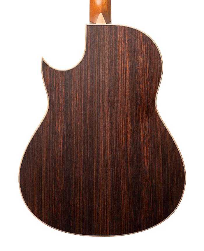 Larrivee C-03R Tommy Emmanuel