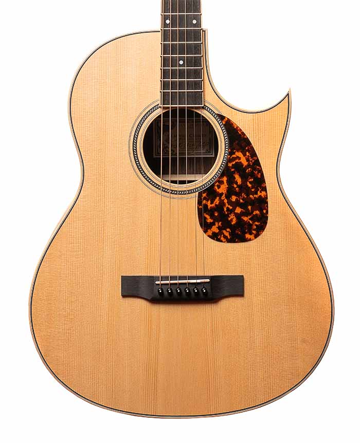 Larrivee C-03R Tommy Emmanuel