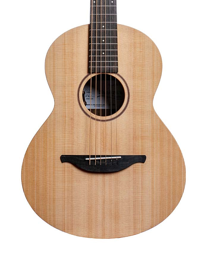 Sheeran W-02 (East Indian Rosewood)