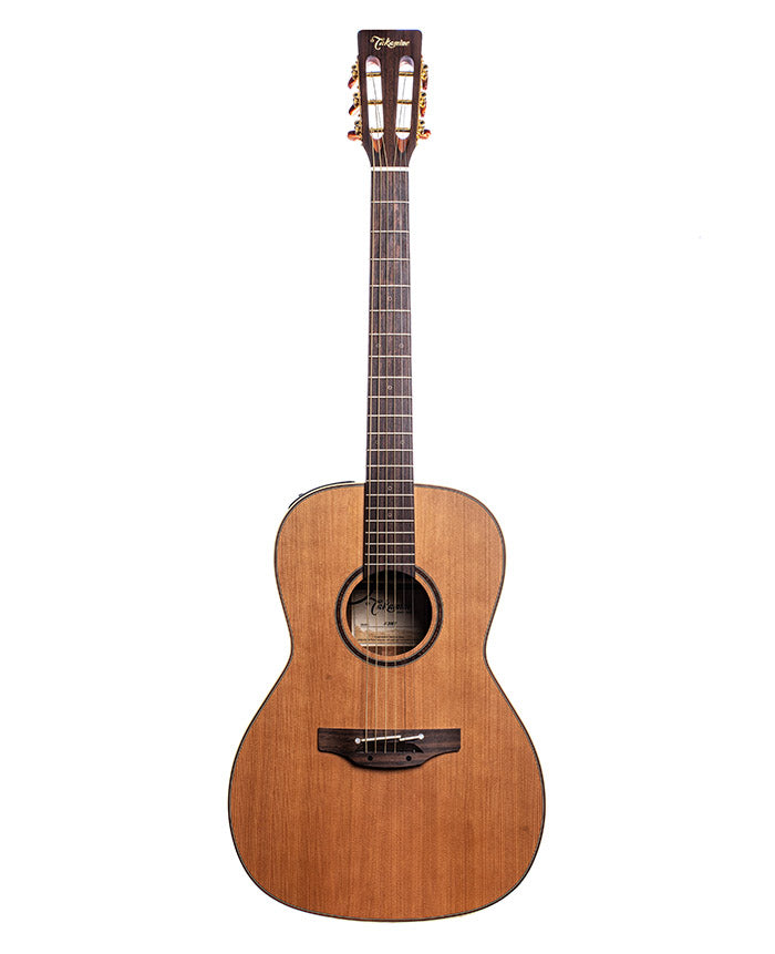 Takamine P3NY