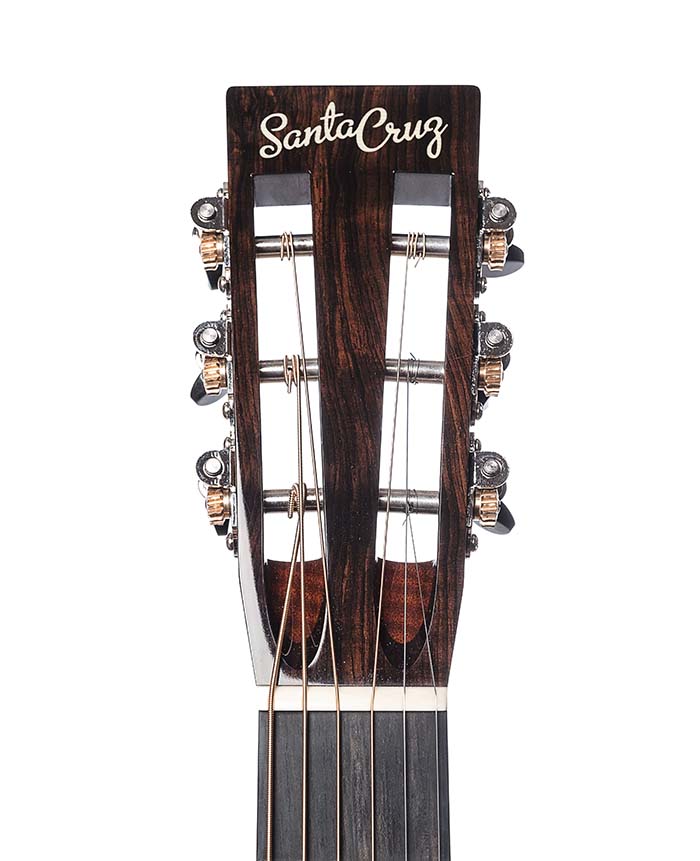 Santa Cruz F Model Custom (2018)