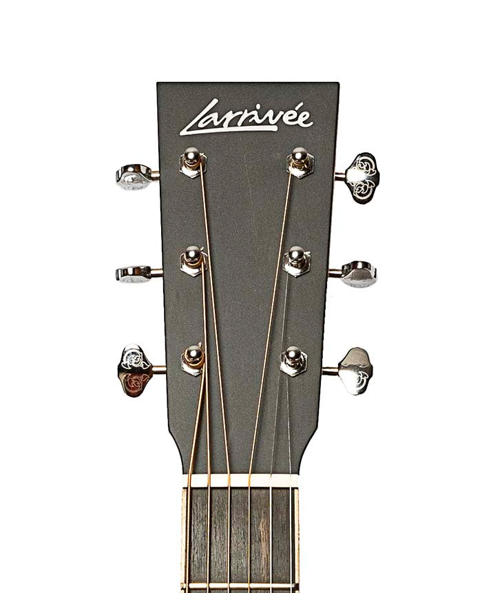 Larrivee D-40R E (Moonspruce)