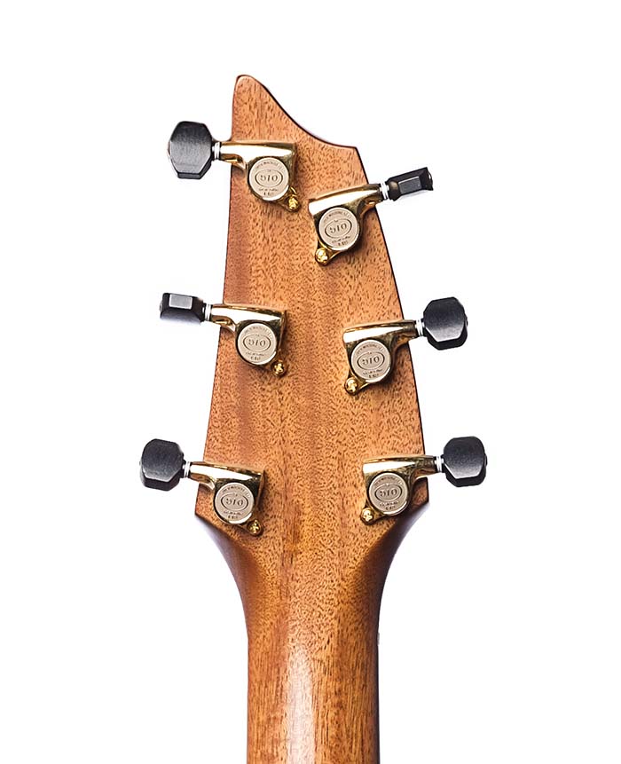 Breedlove Phoenix (2013)