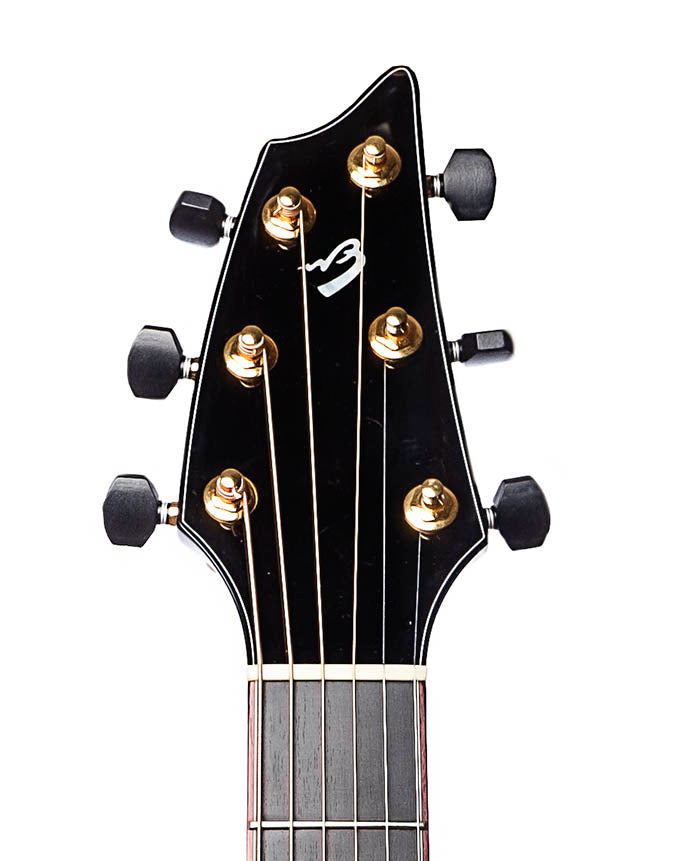 Breedlove Phoenix (2013)