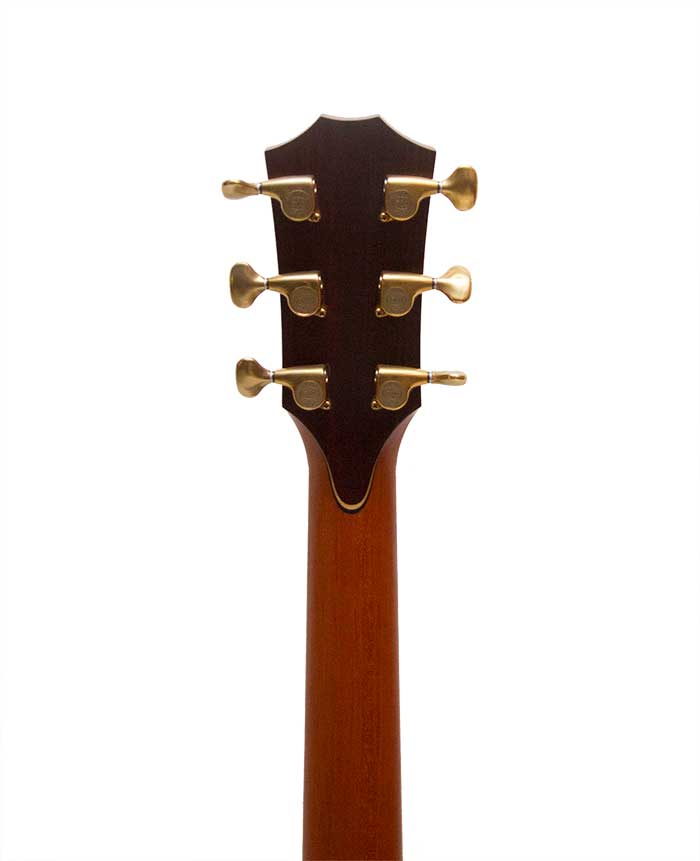 Taylor Fall Ltd Cocobolo GA (2009)