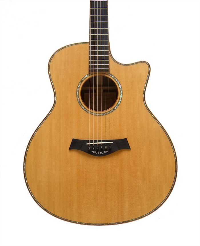 Taylor Fall Ltd Cocobolo GA (2009)