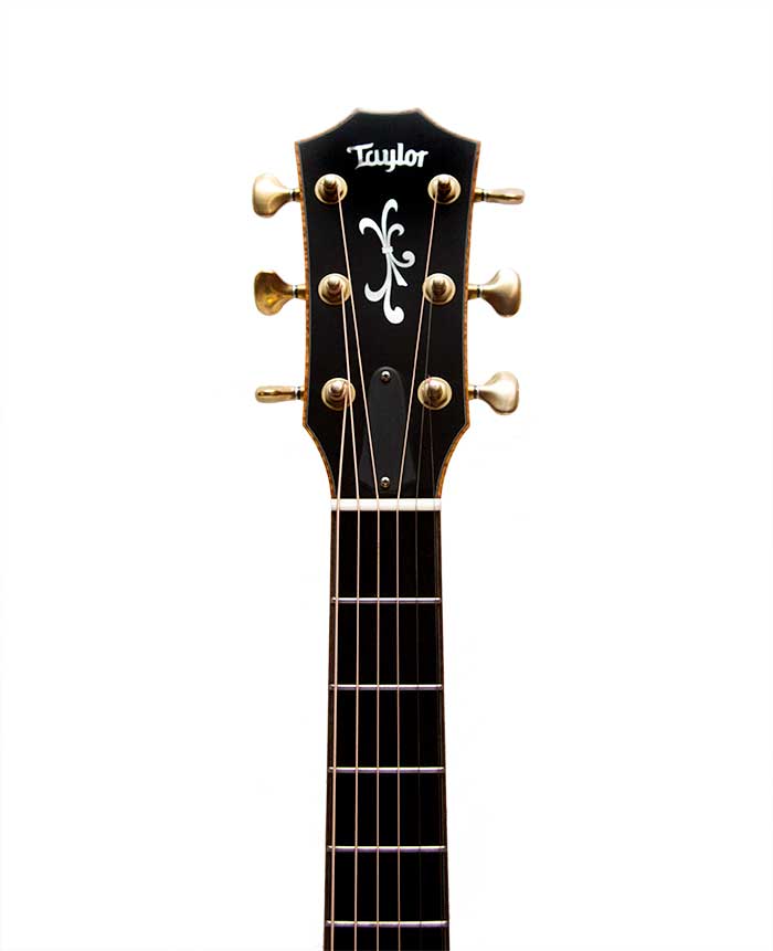 Taylor Fall Ltd Cocobolo GA (2009)